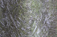 East Knoyle fibreglass roof work